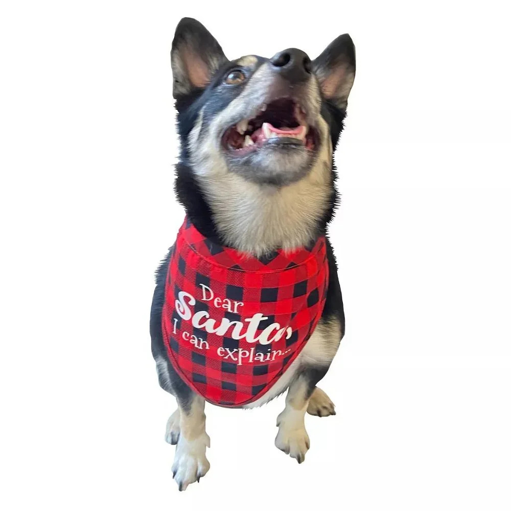 Pet Bandana Santa Christmas Cookie Holiday